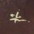 Ivan Zulueta signature